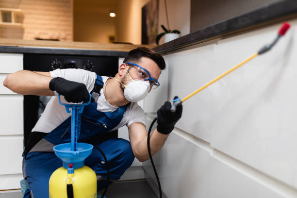 Best Flea Control Services  in Venice, IL