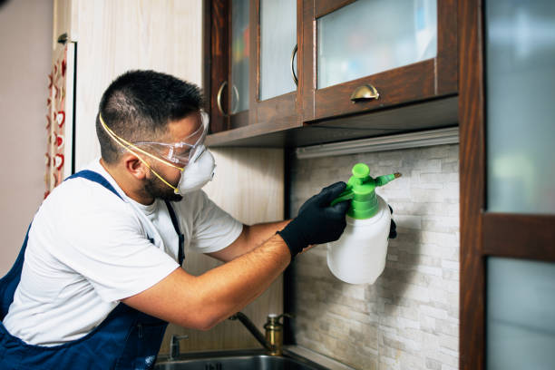 Best Cockroach Control Services  in Venice, IL