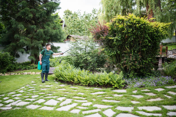 Best Wildlife Control Services  in Venice, IL