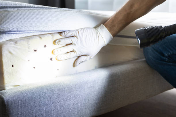 Best Pest Inspection Near Me  in Venice, IL
