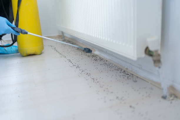 Best Wildlife Control Services  in Venice, IL